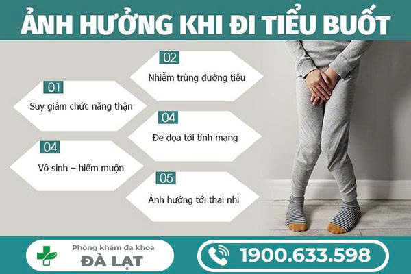 Hình ảnh minh họa